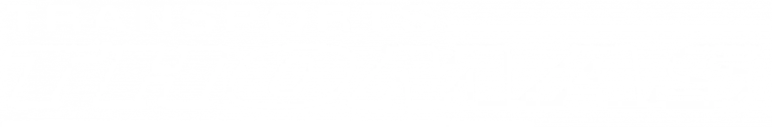 transports thomas identite